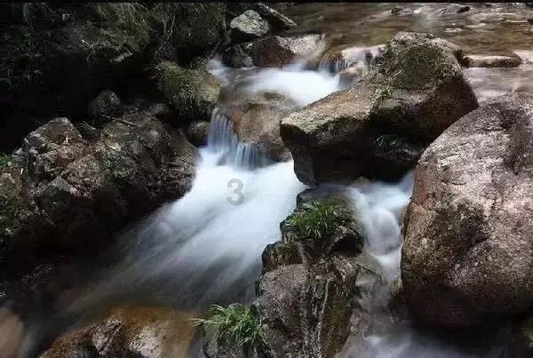 探索问答,尽在嘉庆赐死和珅后,纪晓岚结局如何?平台